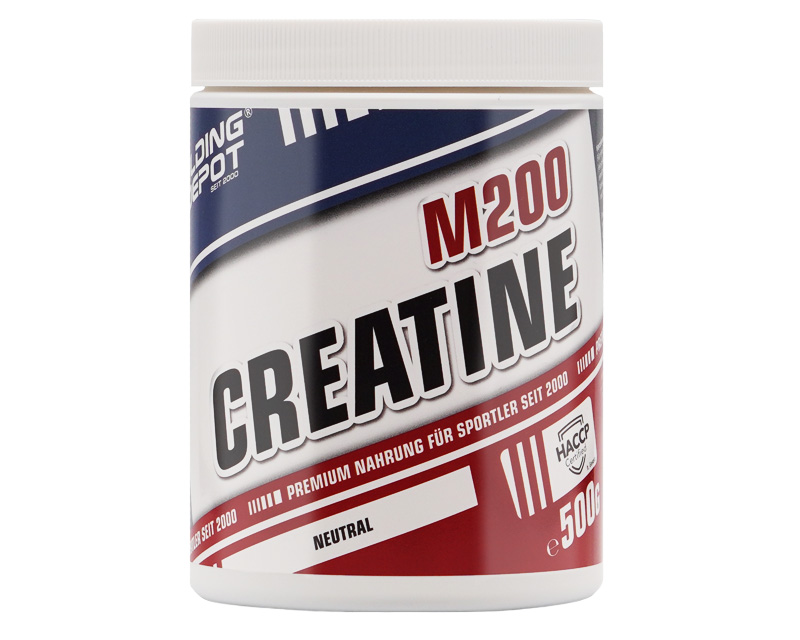 Muscle Sport brand logo