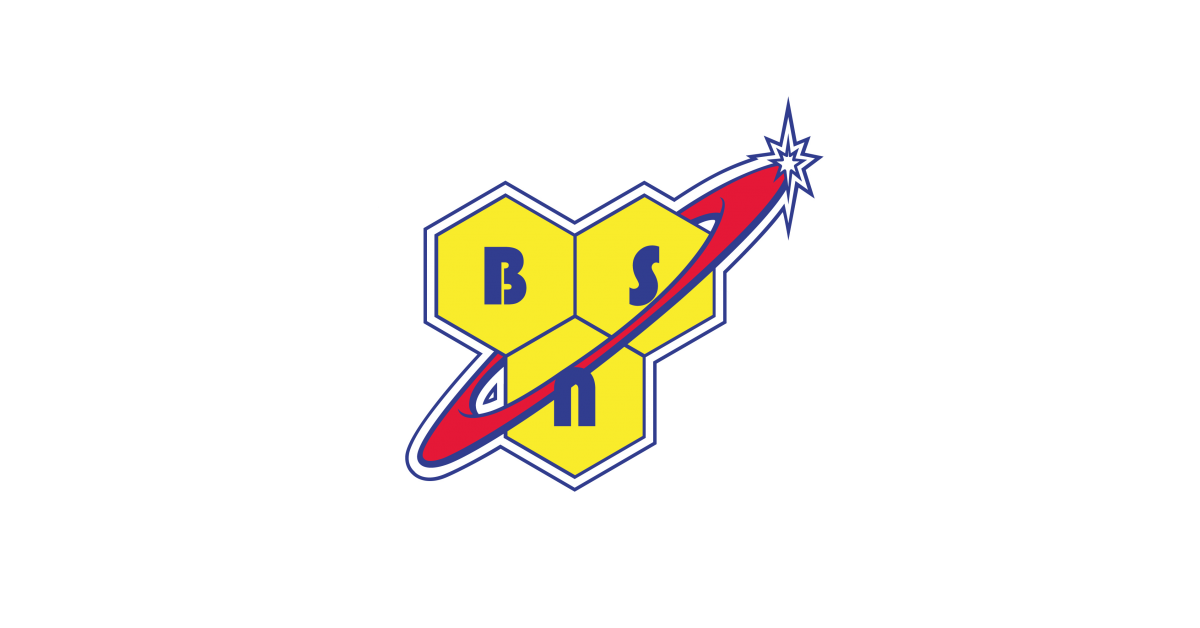 BSN brand logo